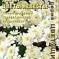 Хризантема "Цветы невесты" ТМ "Аэлита" 0.025г