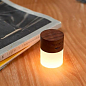 Портативний світильник на акумуляторі Lemelia, Gingko (Англія), дерево горіх (G026WT) купить