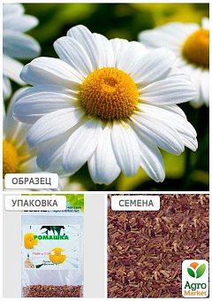 Ромашка "Белая" (Зипер) ТМ "Весна" 2г7