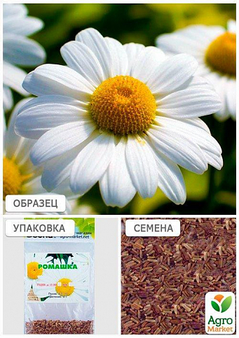 Ромашка "Біла" (Зипер) ТМ "Весна" 2г - фото 4