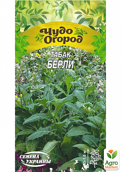 Семена Табак курительный "Берли" ТМ "Семена Украины" 0.1г1