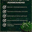 LMTD Ломикамінь квітучий килим "Peter Pan" купить