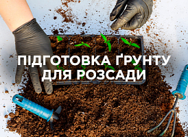 Підготовка і зберігання ґрунту для розсади: правила, помилки та рекомендації | Agro-market