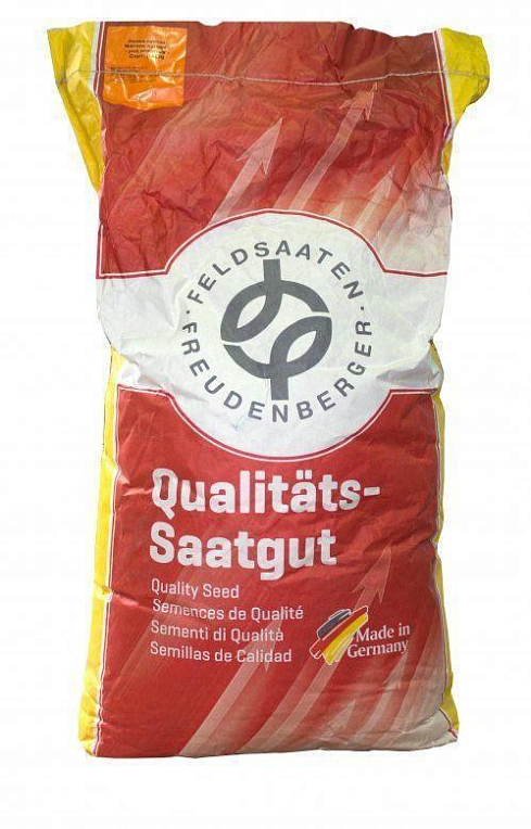 Мятлик луговий "Balin" (Німеччина) ціна за 0,5кг - фото 2