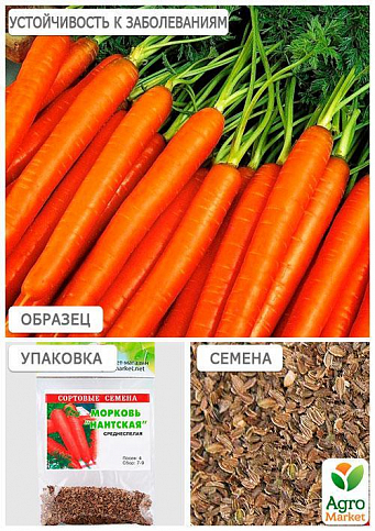 Морковь "Нантская" (Зипер) ТМ "Весна" 5г - фото 3