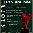 Барбарис тунберга "Admiration"  купить