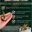 Лилия "Levi"  цена