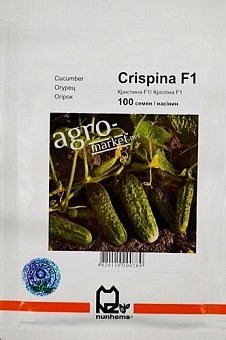 Огурец "Криспина F1" ТМ "Nunhems" 100шт2