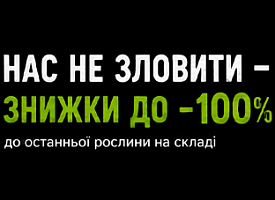 Знижка -100% до останньої рослини!
