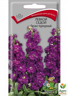 Левкой седой "Гигант пурпурный" ТМ "Поиск" 0.1г24