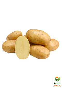 Картопля "Раномі" насіннєва рання (1 репродукція) 5кг9