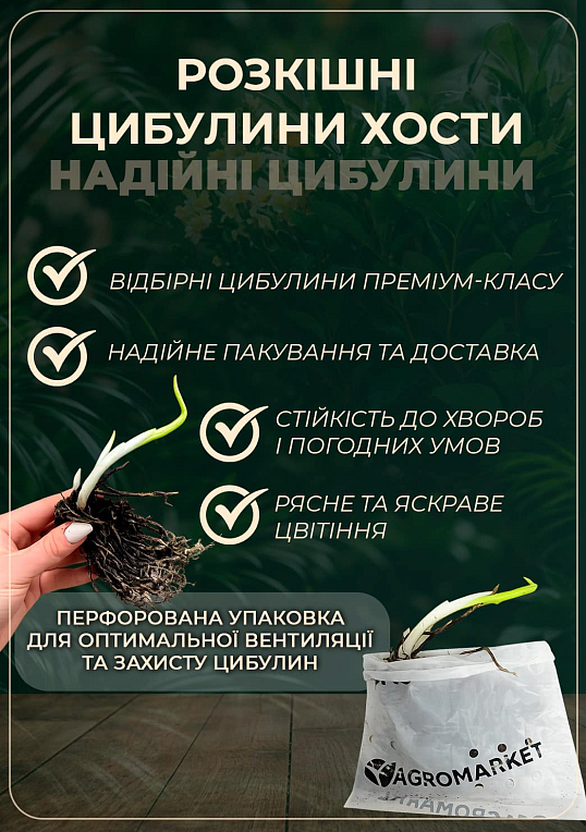 Хоста "Colored Hulk" - фото 2