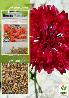 Василек "Красный" (Зипер) ТМ "Весна" 0,5г7