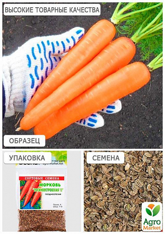 Морковь "Лосиноостровская 13" (Зипер) ТМ "Весна" 5г - фото 2