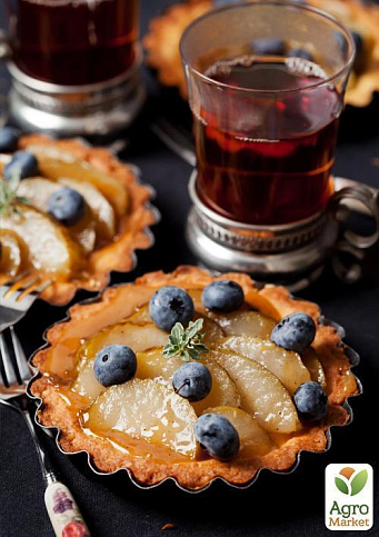 Груша "Анжелис" (зимний сорт, поздний срок созревания) - фото 4