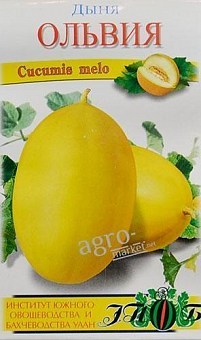 Диня "Ольвія" ТМ "Сонячний березень" 50шт1