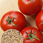 На развес Томат "Факел" ТМ "Весна" цена за 1г