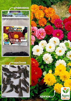 Жоржина "Махрова" (Зіппер) ТМ "Весна" 1г
