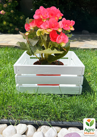 Ящик декоративный деревянный для хранения и цветов "Прованс" д. 25см, ш. 27см, в. 13см. (белый) - фото 4