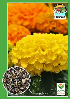 Бархатцы "Валенсия" ТМ "Весна" 0.3г