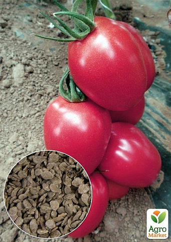 На вагу Томат "Ельдорадо червоний" ТМ "Весна" ціна за 1г