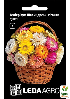 Гелихризум "Швейцарские гиганты" ТМ "Leda Agro" 0,2г1