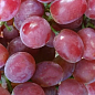 Виноград "Дольче Сонячний" (маса грони 600-1200 гр маса ягоди 12 гр) 1 саджанець в упаковці купить