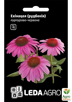 Ехінацея ТМ "Leda Agro" 0,1г1