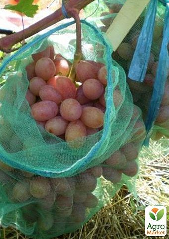 Сетки от ос для винограда "Полундра" 22х35 1 шт