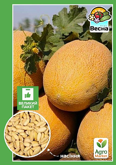 Диня "Алушта" (Великий пакет) ТМ "Весна" 2,5г20