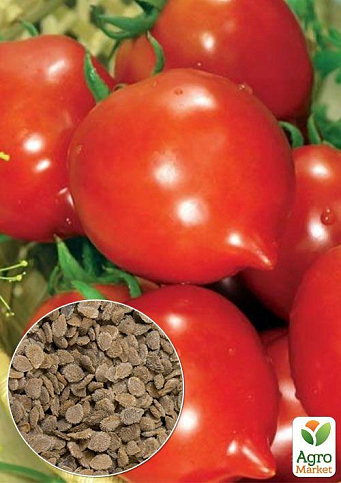 На развес Томат "Батяня" ТМ "Весна" цена за 1г