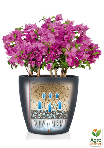 Розумний вазон з автополивом Lechuzа Classico Color 35, сірий (13224) - фото 3