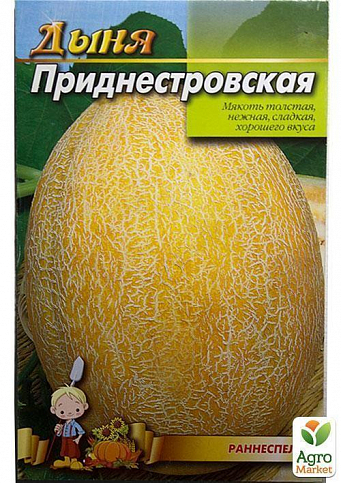 Диня "Придністровська" (Великий пакет) ТМ "Весна" 4г - фото 2