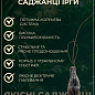 Ірга 2-річна вільхолиста 2-річна "Smoky" (вкорінена в контейнері) купить
