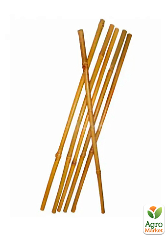 Опора бамбукова 150 см (12-14мм) (570-01) - фото 2