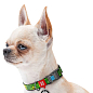 Ошейник для собак нейлоновый WAUDOG Nylon с QR паспортом, рисунок "Авокадо", пластиковый фастекс, Ш 10 мм, Д 20-30 см (5233) купить
