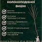 Вишня колоновидна "Ашинський гібрид" (літній сорт, ранній термін дозрівання) цена