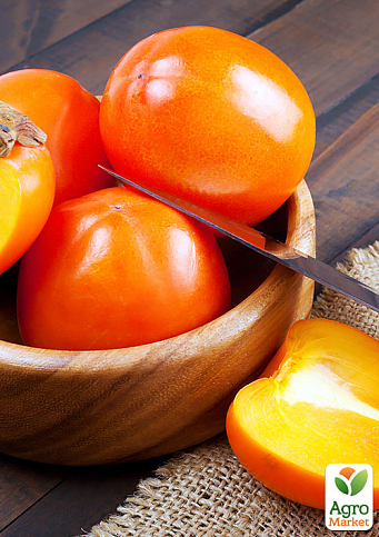 Хурма на віргінській морозостійкій підщепі "Сосновська" вищий сорт!