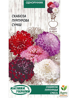 Скабиоза "Пурпурная" ТМ "Семена Украины" 0.3г15