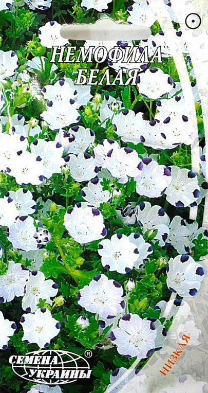 Немофіла "Біла" ТМ "Насіння України" 0.5г