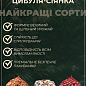 Голландский лук-севок 0.5кг (арбажейка) среднепоздний, белый "Gladstone" купить