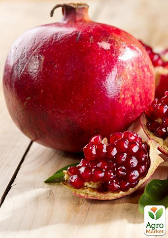 Гранат комнатно-садовый розовый "Гюлоша"  - фото 5