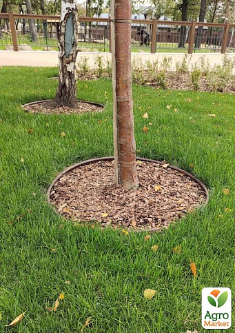 Бордюр садовый пластиковый Country Premium H110 10м коричневый (82401-BN) - фото 2