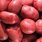 Семенной среднепоздний картофель "Фламенко" (на жарку, 1 репродукция) 3кг