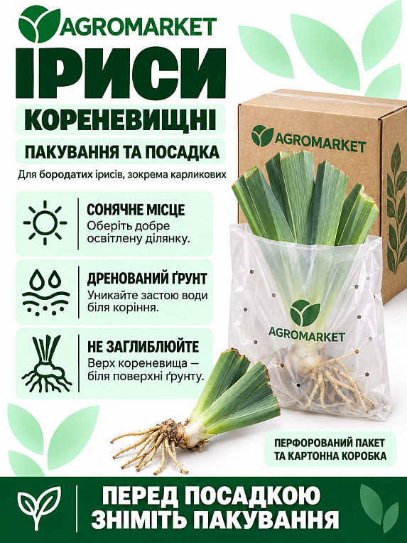 Ирис карликовый "Cold River" 1шт в упаковке