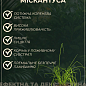 Мискантус китайский "Red Chief" вазон С2 цена