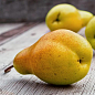 Груша "Свадебная" (летний сорт, ранний срок созревания)