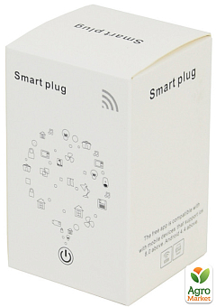 Розумна Wi-Fi розетка ATIS TS251-16T з підтримкою Tuya Smart1