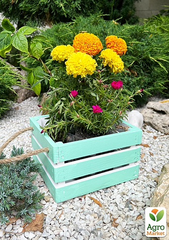 Ящик декоративний дерев'яний для зберігання та квітів "Джусіно" довжина 22см, ширина 20см, висота 13см. (бірюзовий з ручками)