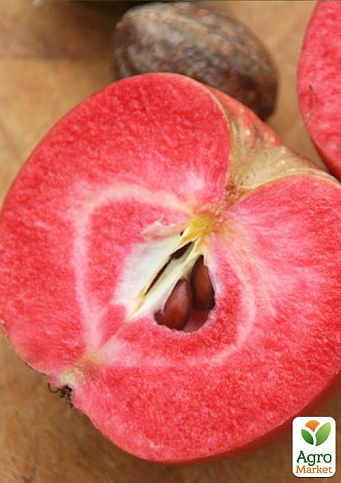 Яблоня красномясая "Тринити"(Trinity) (летний сорт, средний срок созревания)